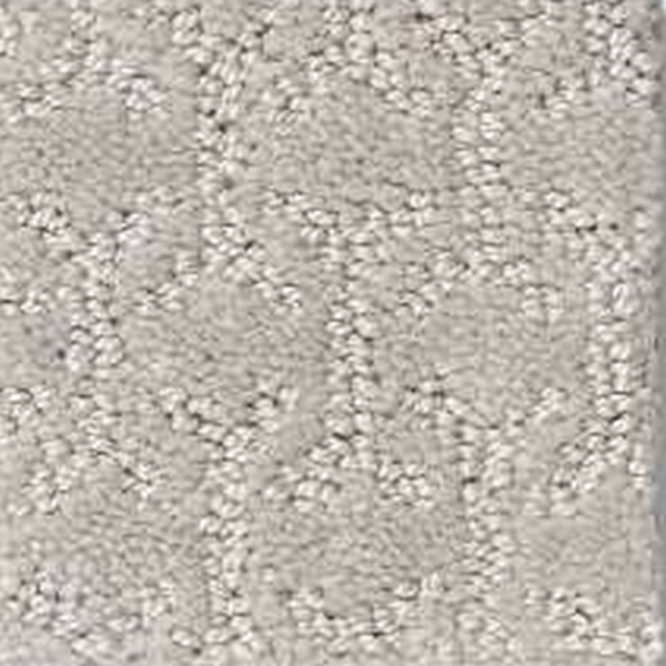 Shaw Floors Valid Mist SHAW