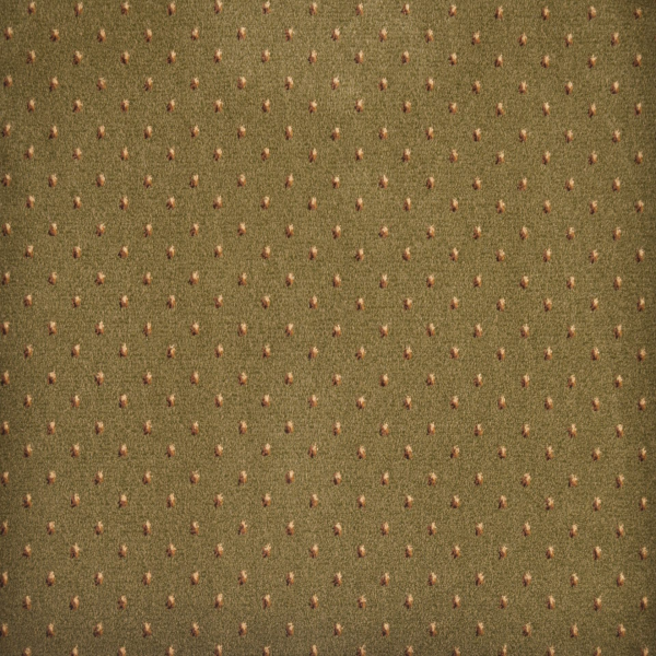 Kane Carpet Nostalgia II Misty Fields KANE