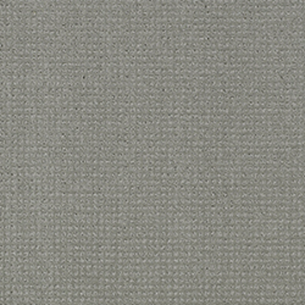 Tarkett Home Carpets Manhattan Nickel LEXMARK