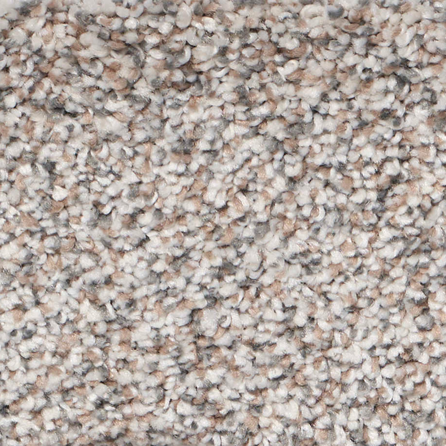 Southwind Exalted Prime Noteworthy