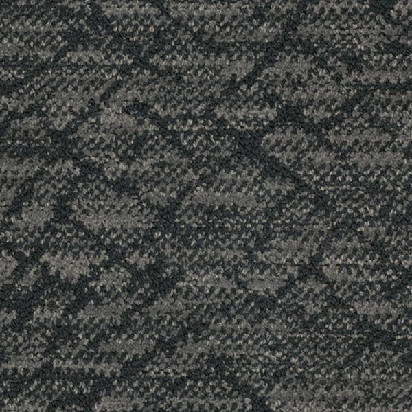 Masland Carpets Circuitry Oasis Masland