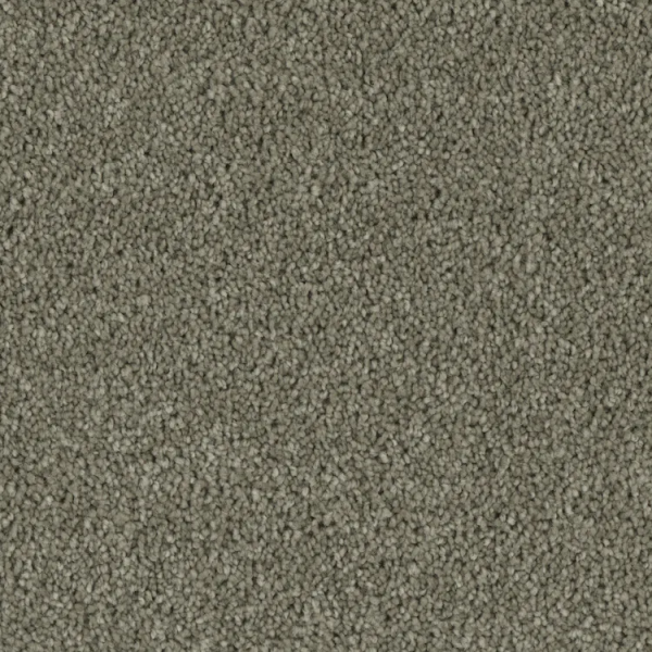 Phenix Carpets Entice Overwhelm PHENIX