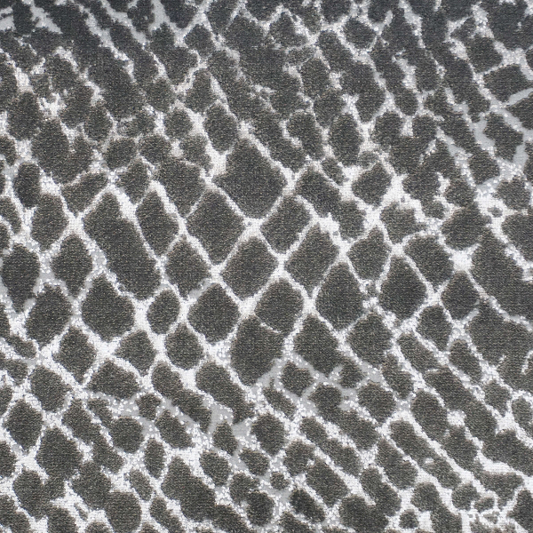 Kane Carpet Accomplishment Paramount KANE