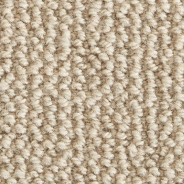 Stanton Carpet Shawnee Pebble Stanton