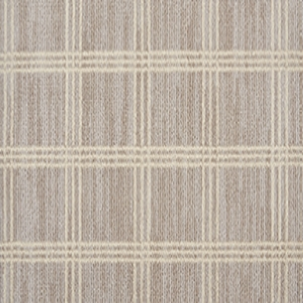 Stanton Carpet Rejoice Platinum Stanton