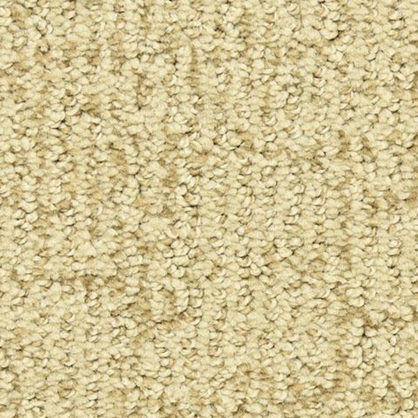 Dixie Home Victor Premier