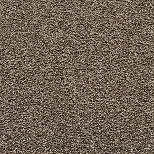 Mohawk Carpet Bold Choice Radiance Mohawk