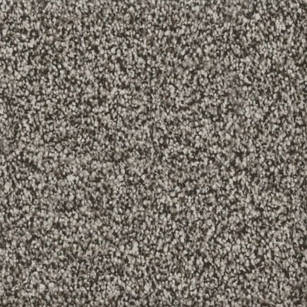 Revolution Mills Everest Rainforest