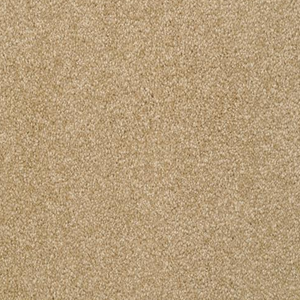 Dixie Home Alluring Rawhide