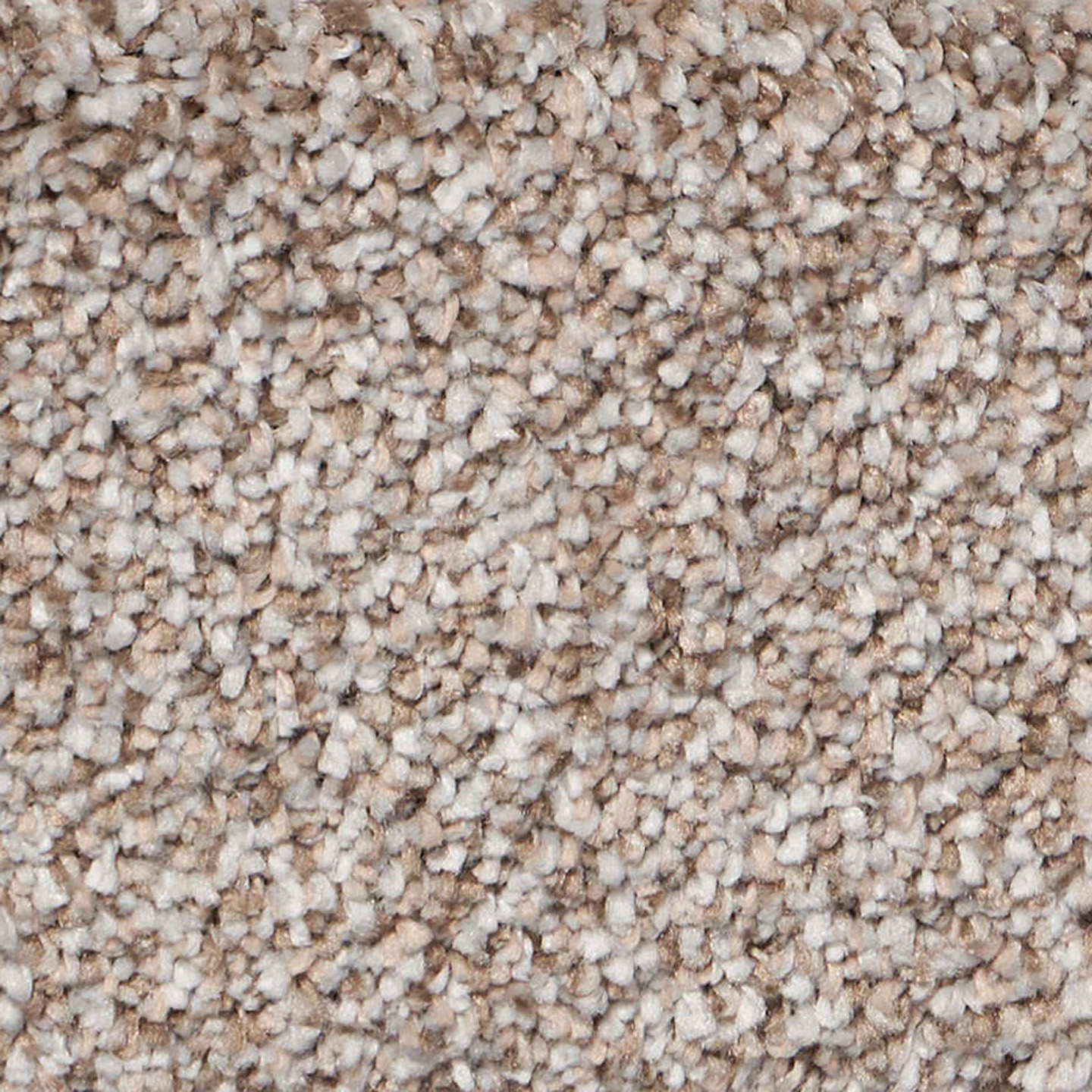 Southwind Exalted Prime Renowned