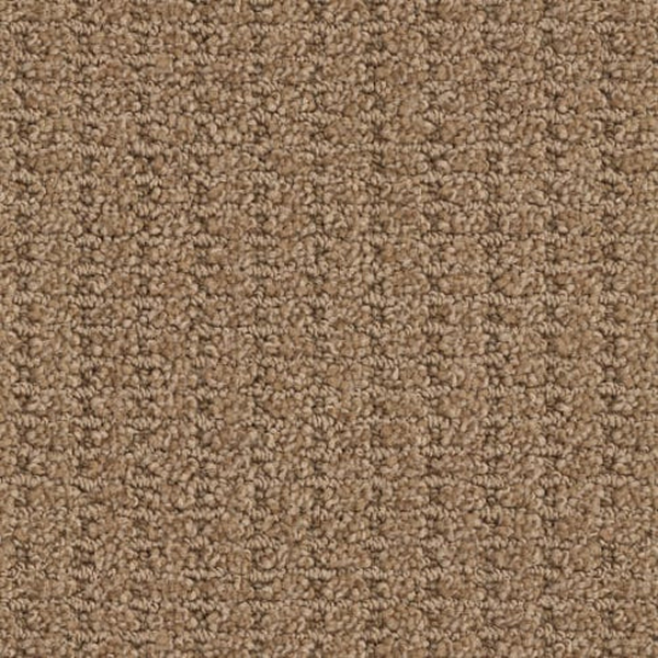 Masland Carpets Defined Rich Maple Masland