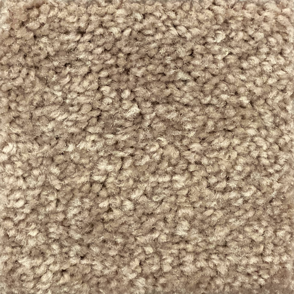 Mohawk Carpet Weston Manor Sea Horse Mohawk