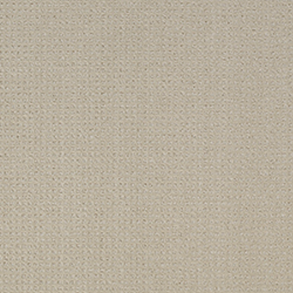 Tarkett Home Carpets Manhattan Seashell LEXMARK