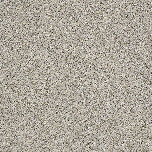 Shaw Floors Elemental Mix III Silver lining SHAW