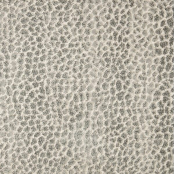 Stanton Carpet Allegory Silverfox Stanton