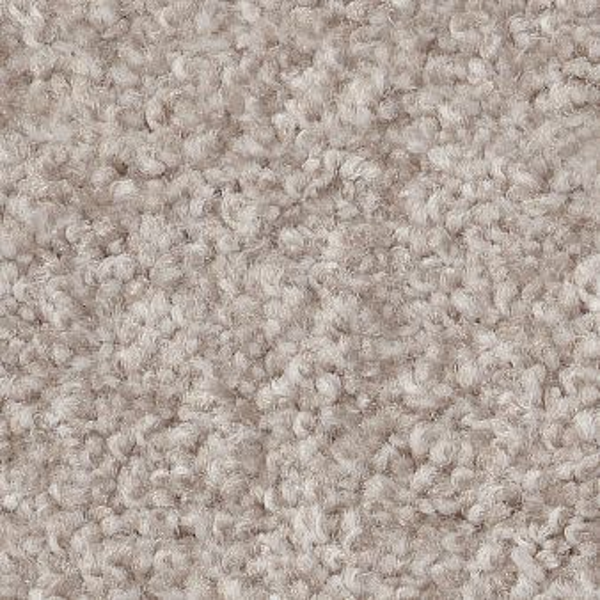 Shaw Floors Harmonious III Split Sedime SHAW