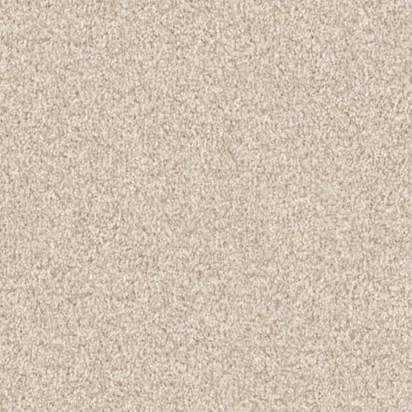 Masland Carpets Santa Rosa Starfish Masland
