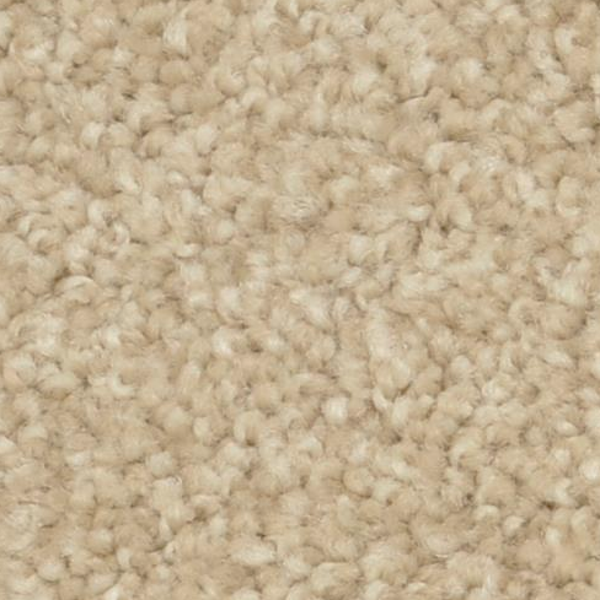 Dixie Home Alluring Suede