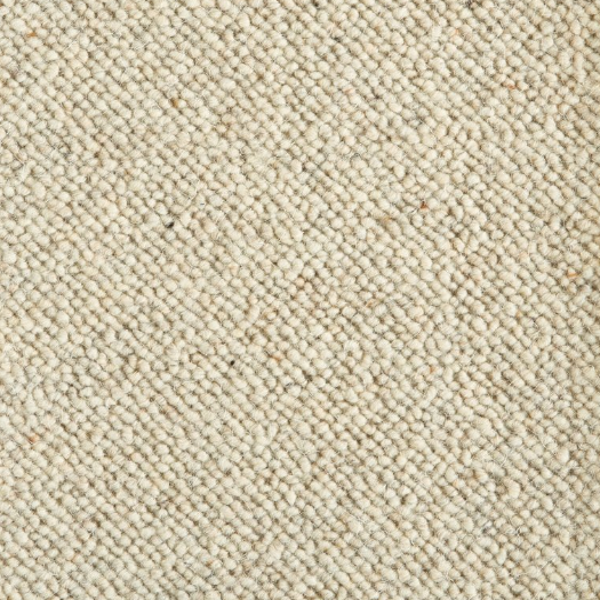 Stanton Carpet Everglades Sundance Stanton