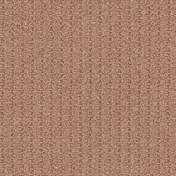 Masland Carpets Defined Terra Cotta Masland