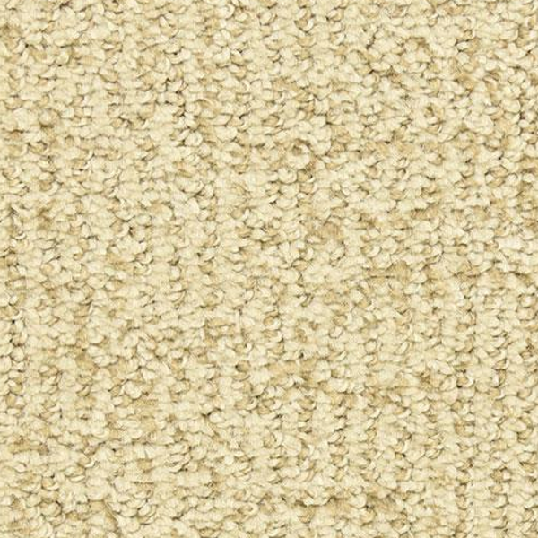 Dixie Home Victor Treasure