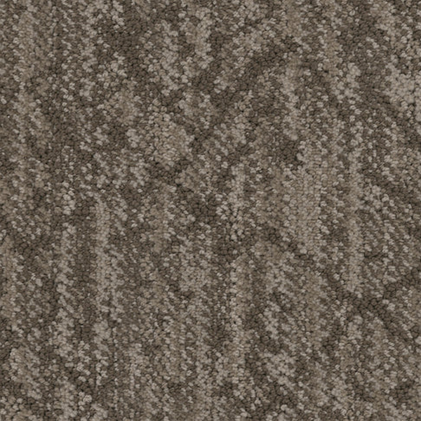 Masland Carpets Circuitry Truffle Masland