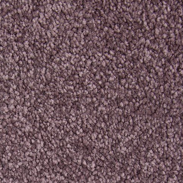 Horizon Carpet Striking Option Velvet Lining Mohawk