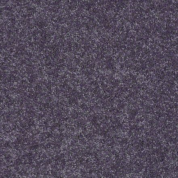 DesignTek Carpet Dalton 30 12' Violet Crush DESIGNTEK
