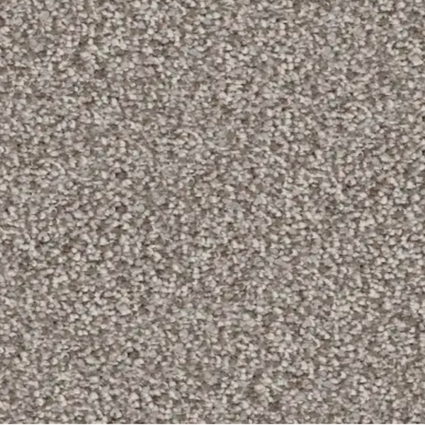 Revolution Mills Rainier Vista