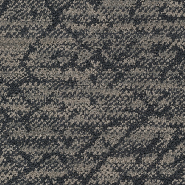 Masland Carpets Circuitry Vista Masland