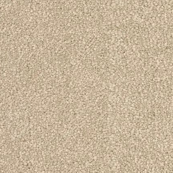 Revolution Mills Denali Westwood