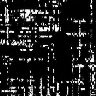 Couristan Carpets Black and White Midnight Couristan