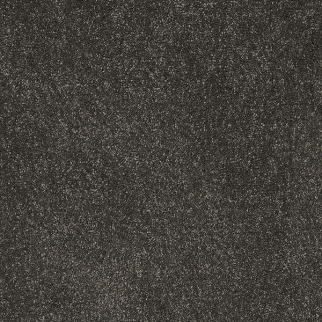 Couristan Carpets Divine Charcoal Couristan