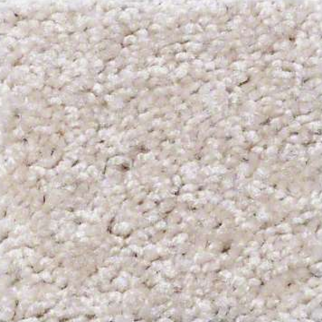 Shaw Floors Big Event Plus Eggshell SHAW