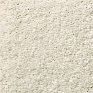 Shaw Floors Solidify II 12 Minimalist SHAW