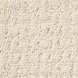 Shaw Floors Activate Winter White SHAW