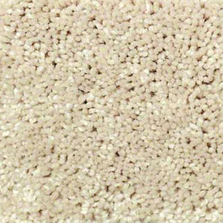 Shaw Floors Well Played I 12 Agate SHAW