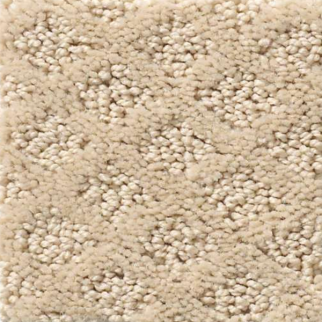 Shaw Floors Pace Setter Dunes SHAW