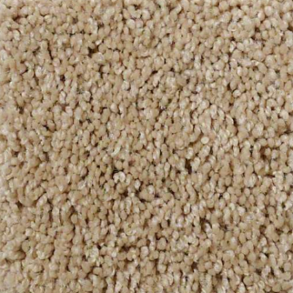 Shaw Floors Origins II Dunes SHAW