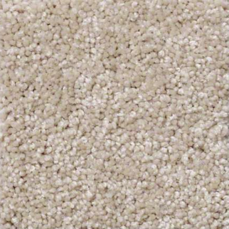 Shaw Floors You Know It French Canvas SHAW