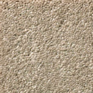 Shaw Floors Solidify II 12 Raw Lumber SHAW