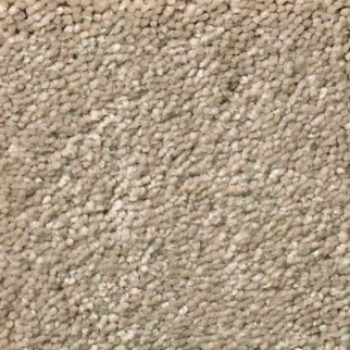 Shaw Floors Solidify I 12 Raw Lumber SHAW