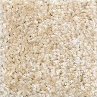 Shaw Floors Keep It Real Tuscon Winds SHAW