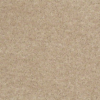 Shaw Floors Briceville Classic 12' Adobe SHAW