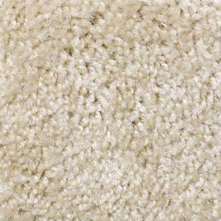 Shaw Floors Keep It Real Aspen SHAW