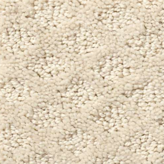 Shaw Floors Pace Setter Canvas SHAW