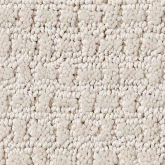 Shaw Floors Activate Canvas SHAW