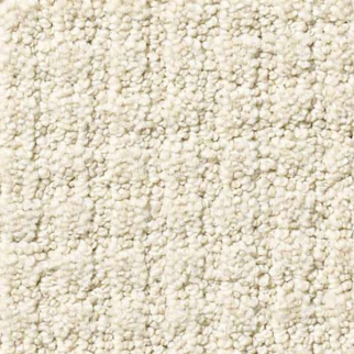 Shaw Floors Aerial Arts Canvas SHAW