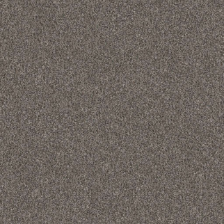 Shaw Floors Yes You Can III 12' Marble SHAW