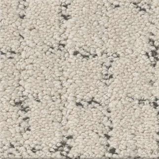 Shaw Floors Block Party Marble SHAW